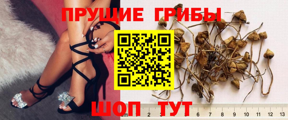 Псилоцибиновые грибы ЛСД  Вход с VPN  купить  сайты  Брянск 